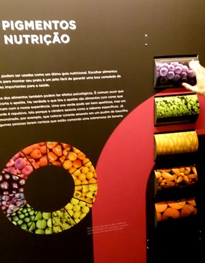 painel pigmentos alimentares exposicao a cor da luz