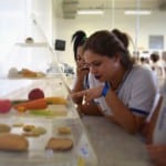 ocrc escolas em limeira