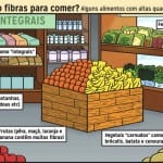 revistinha ocrc dicas de fibras