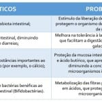 tabela-prebioticos-probioticos