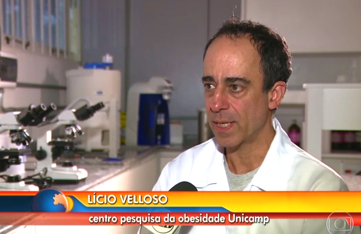 Diretor do CEPID OCRC comenta sobre doenças associadas à obesidade licio velloso programa bom dia brasil obesidade